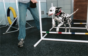 image8