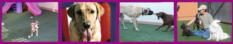 ratesbanner1 ratesbanner1